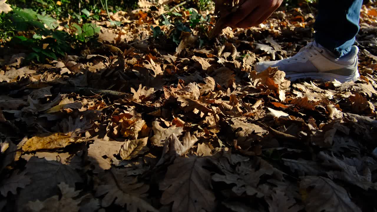 Man collects brown leaves