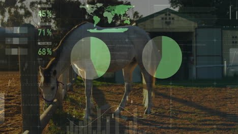 grazing brown white horse using farm data dashboard with world map pie charts line graphs overlay