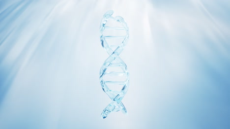adn con concepto biológico, renderización en 3d.