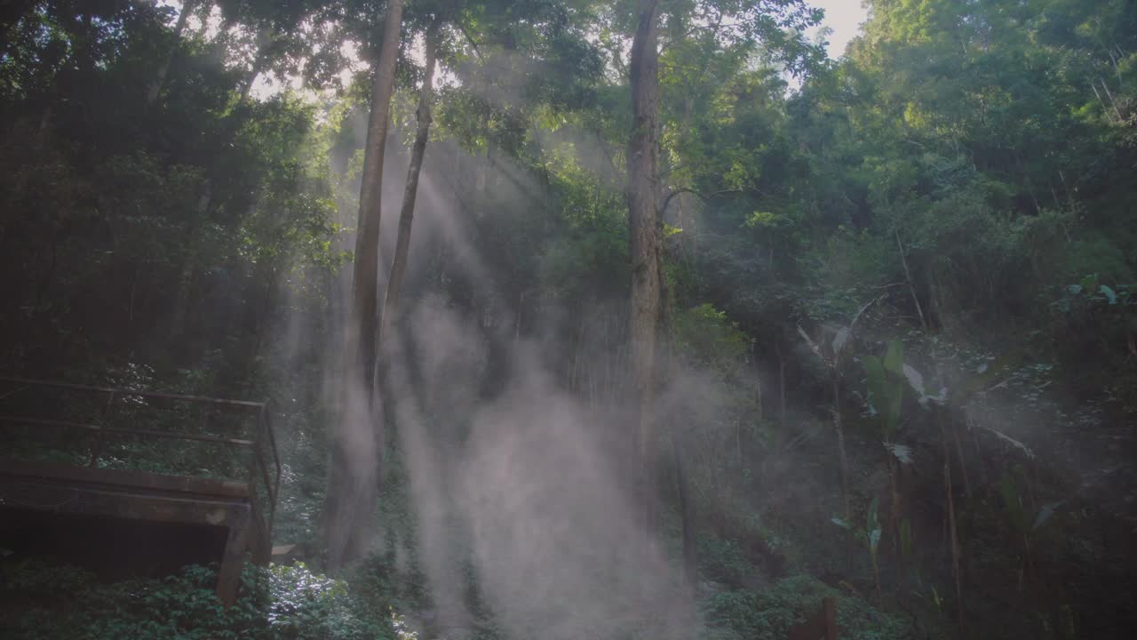 Lush green forest with waterfall in Chiang Rai, Thailand, peaceful ambiance
