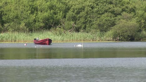 Stock-Footage-Killarney-July-1