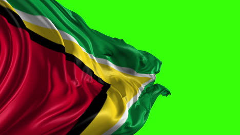 flag of guyana