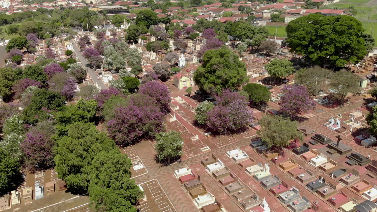 gran cementerio con diseño de cuadrícula - vista de arriba hacia abajo