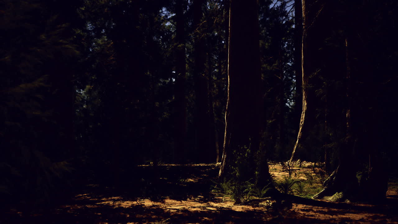 Scena di foresta oscura e misteriosa