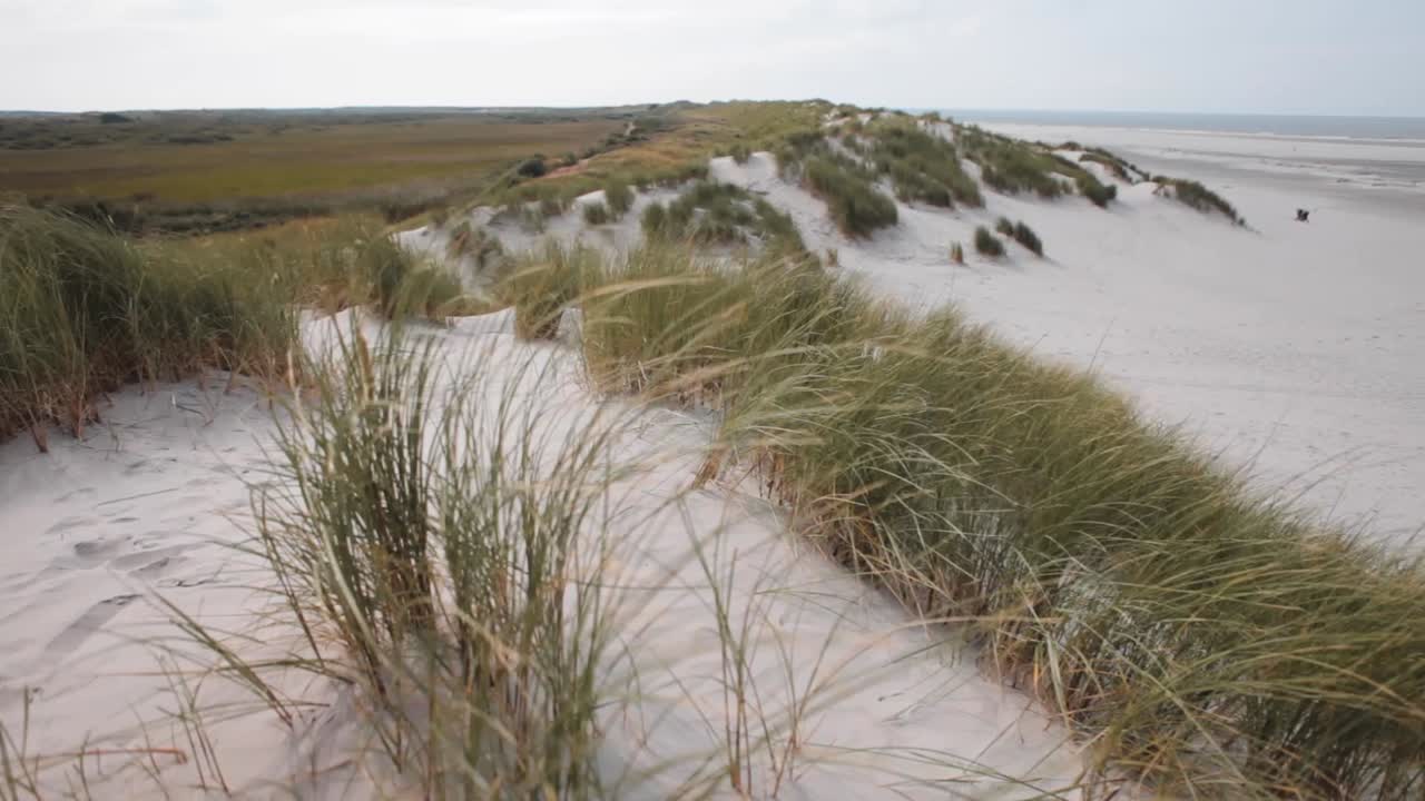 paisaje de dunas en una de las islas holandesas en el mar del norte con hierba marram ondeando y bailando en el viento y el mar visible en el horizonte