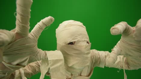 green screen isolated chroma key video capturing a mummy dancing and singing actively into the green screen isolated chroma key video capturing a mummy dancing and singing actively into the microphone haloween holidays mock up workspace for your promotion clip or advertisement