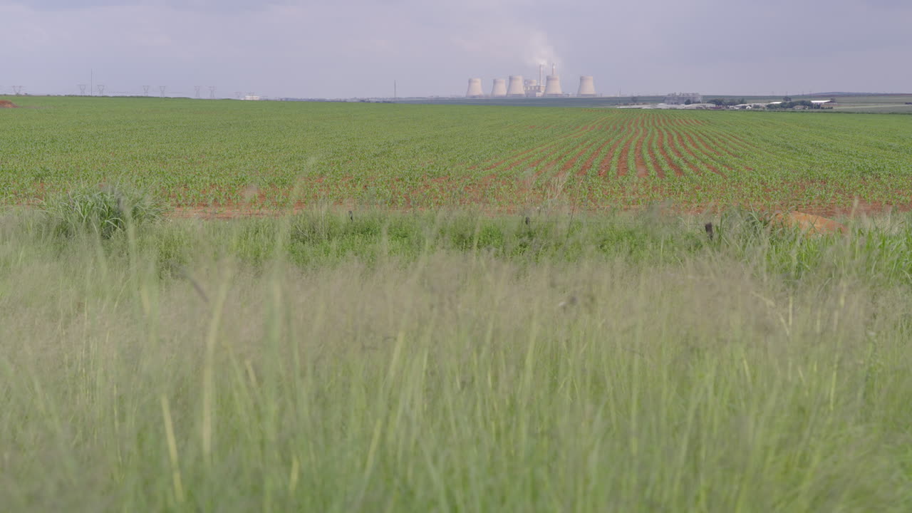 Wide shot of green grass blowing in with farm field and coal burning power station in background