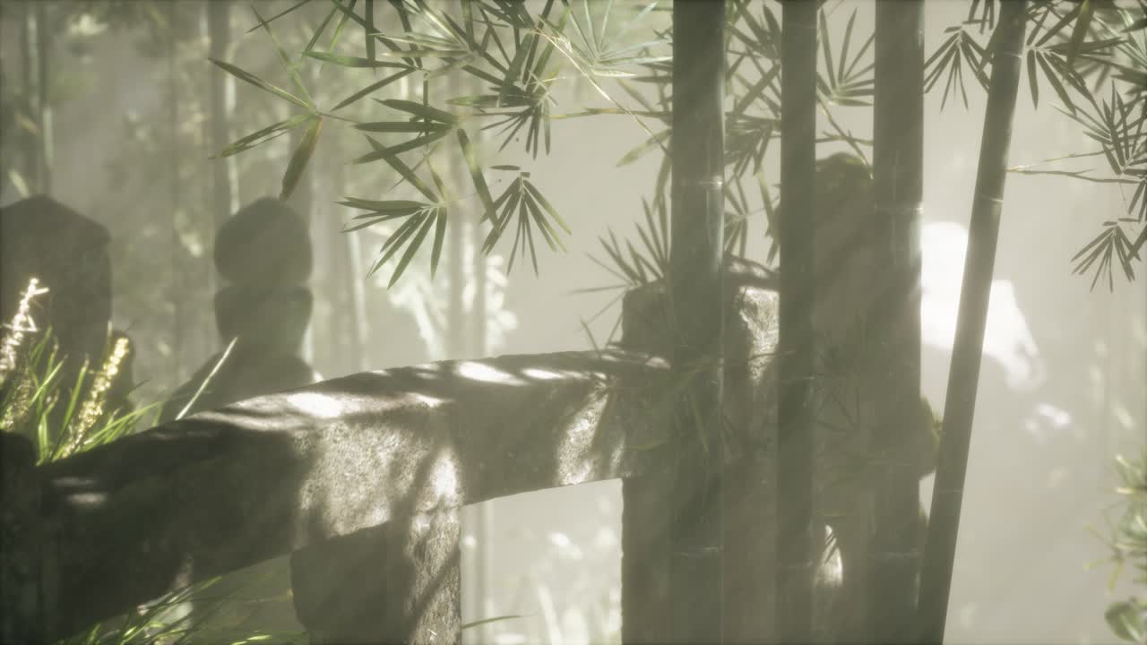 일본 대나무 숲 과 녹색 초원 잔디 와 자연 빛