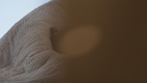 un tranquilo cachorro marrón y negro durmiendo en una cama acogedora
