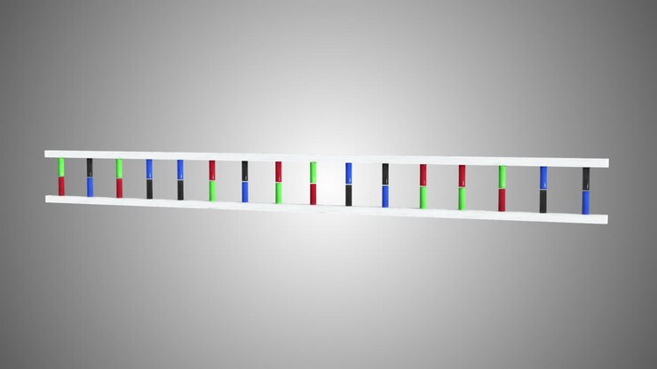 Animation af DNA i bevægelse