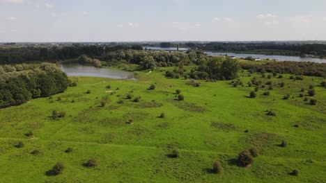 Green-swamp-landscape-on-a-sunny-day,-aerial-rotating-shot,-Netherlands