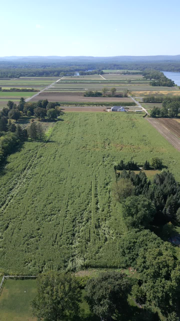 Aerial view of countryside farmland with private estates on rural Hadley town in agricultural site, Massachusetts, USA