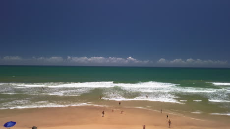 drone passing palm trees, over tiririca beach, sunny day in itacare, bahia, brazil