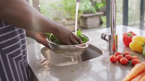 video of hands of asian woman washing vegetables