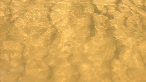 transparent water of lake with sandy bottom. sand dunes on river bottom