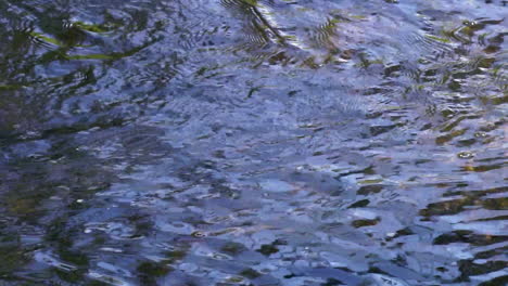 Ondas-Y-Burbujas-Flotantes-En-El-Agua-Del-Arroyo-Que-Fluye