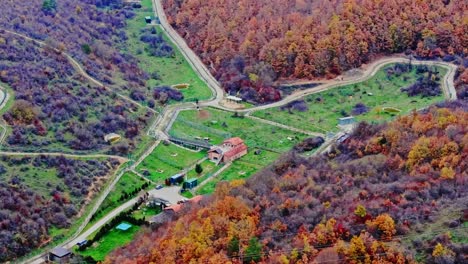 aerial view of kosovo’s bear sanctuary as drone pans left across autumn forest