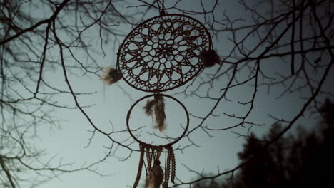 dream catcher hangs hauntingly from dark forest branches, low angle