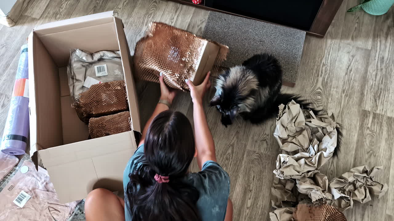 Packing fragile items in cardboard boxes, help of pet cat feline Maine Coon, elevated view