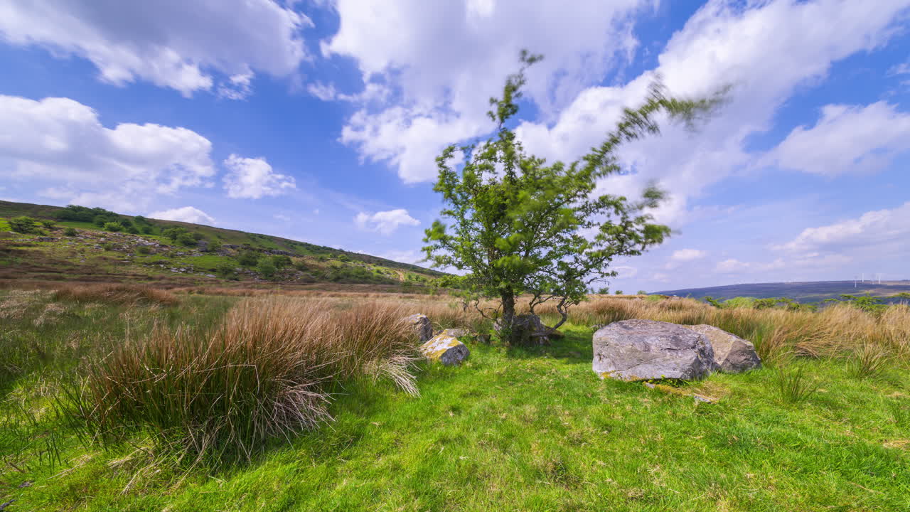 Time lapse of rural landscape with a single tree along rocky grassland and on a spring sunny day in Arigna mountains in county Leitrim in Ireland