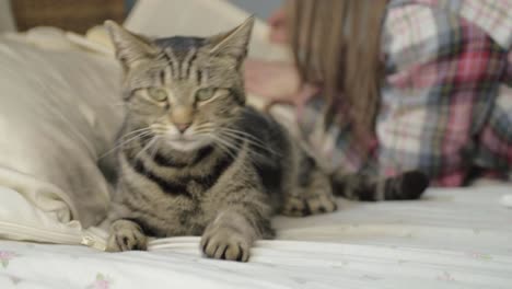 mujer leyendo un libro en la cama mientras el gato se aleja.