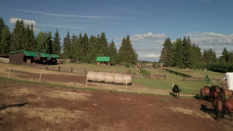 flying very fast and very close to the ground revealing brown horses grazing on a meadow