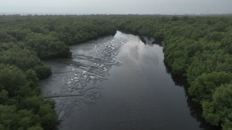 Vista-Aérea-Del-Exuberante-Bosque-De-Manglares-Con-Río-En-Karachi