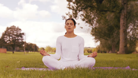 bruneta haciendo yoga en el parque.