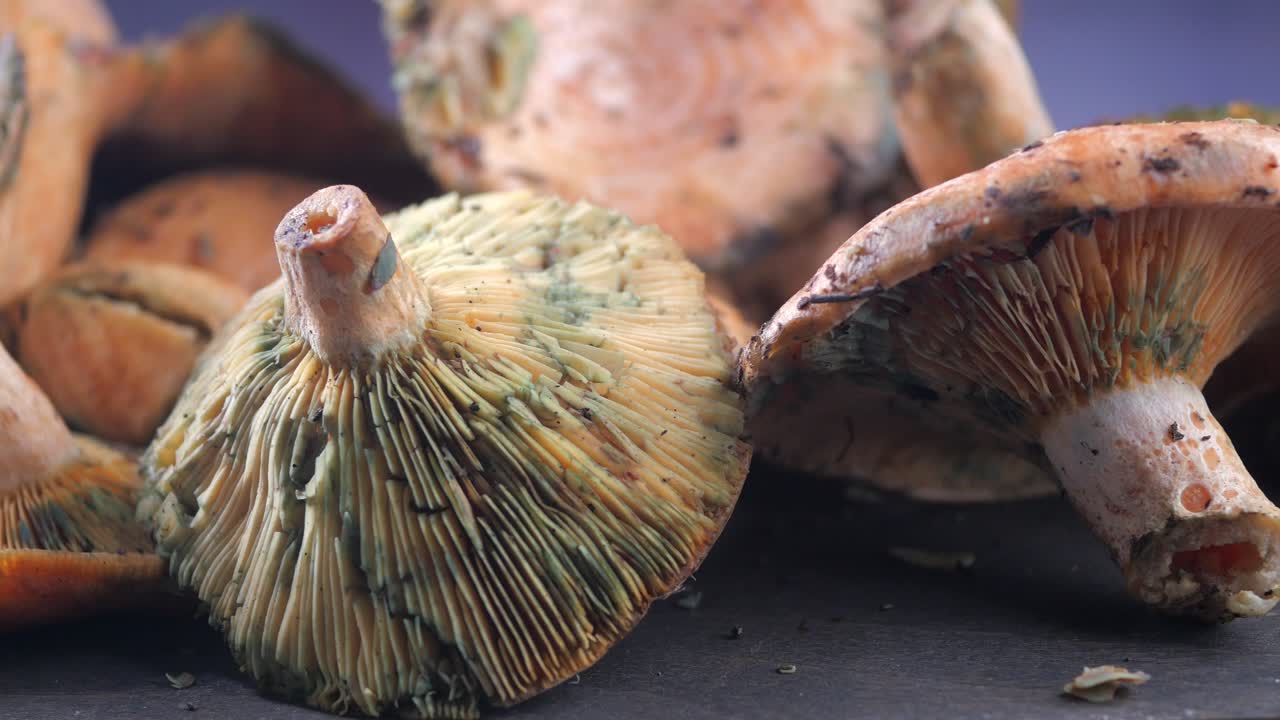 Close-up of Saffron Milk Cap Mushrooms