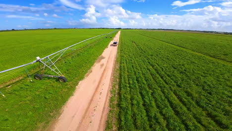 tesla cybertruck turns to the ground road in the green agricultural plantations. fpv drone follows the futuristic car riding along the irrigation system.