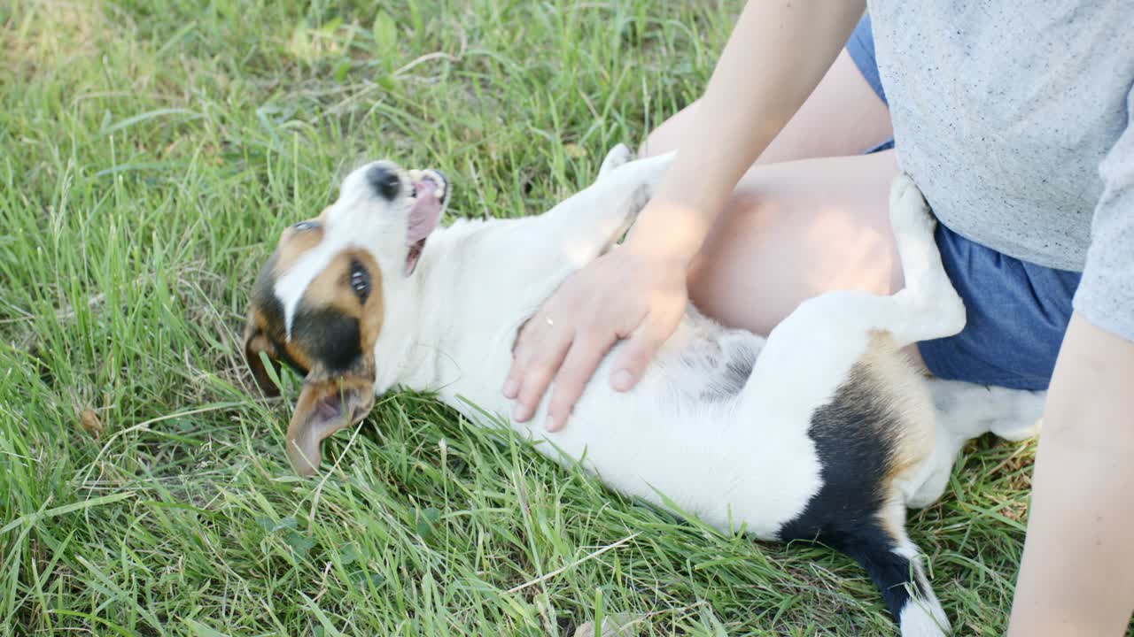 잔디에 개와 함께 있는 여자