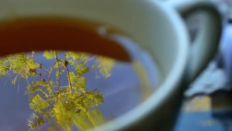 Hermosos-Reflejos-De-Un-árbol-En-Una-Taza-De-Té-Y-Luego-Una-Mano-Sostiene-La-Taza