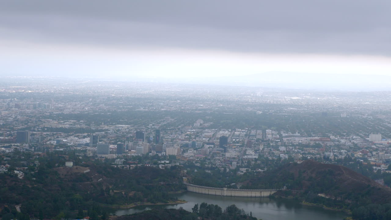 pan de los angeles de la bandera americana en el árbol de la sabiduría en los angeles