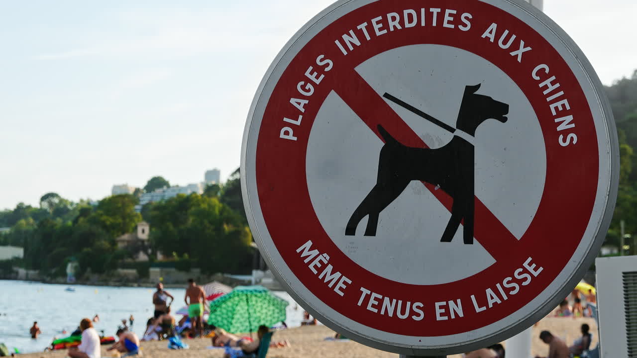No dogs allowed sign on the beach in Vallauris, France