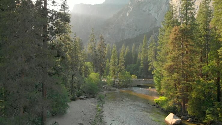 Vue aérienne du parc national de Yosemite en Californie