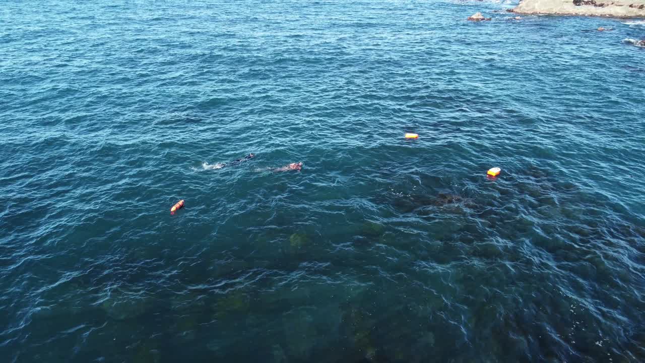 두 명의 다이버가  ⁇ 고 푸른 물에서 스노클링을 하고 있습니다.