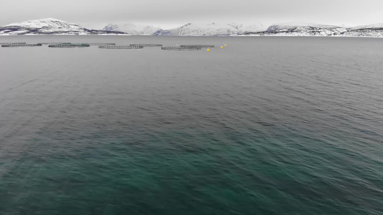 노르웨이의 노르웨이 피요르드 - 케이지 시스템을 갖춘 연어 양식장 - 공중 촬영