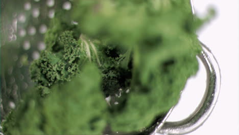 kale being washed in super slow motion