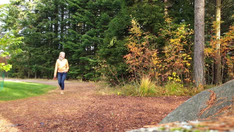 lonely young caucasian female walking on forest trail with autumn tree foliage and conifers, static shot with copy space