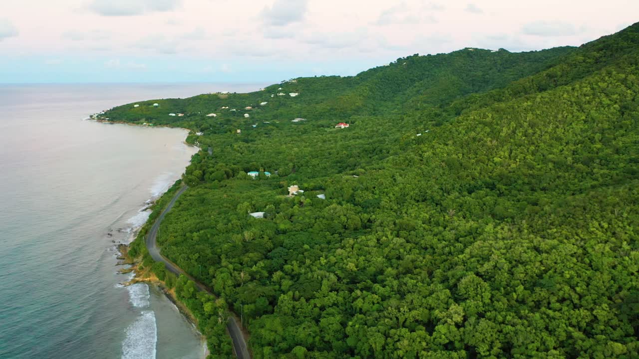 Aerial drone video above St. Croix, USVI, reveals luxurious forest-lined villas tucked quietly among the trees beside glowing Caribbean waters under a flawless midday sky