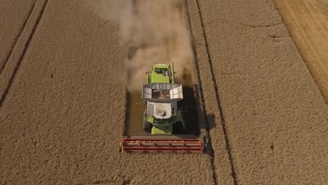 cosecha cerrar seguimiento seguimiento por encima de la cosechadora claas en el campo