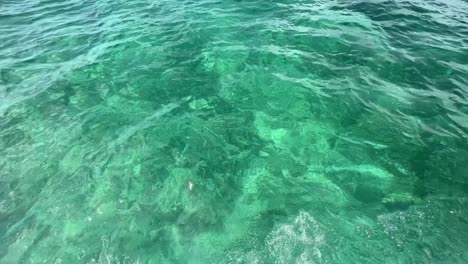 video shot of the peaceful sea with clear waters