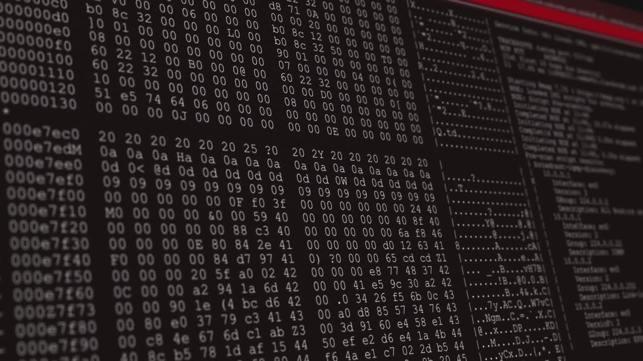 animación del procesamiento de datos en una pantalla de computadora negra y roja