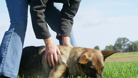 Schäferhund-Mit-Seinem-Besitzer-Auf-Dem-Bauernhof-4k