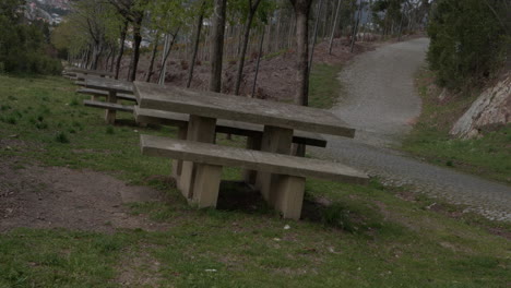 dark place with stone tables for picnics