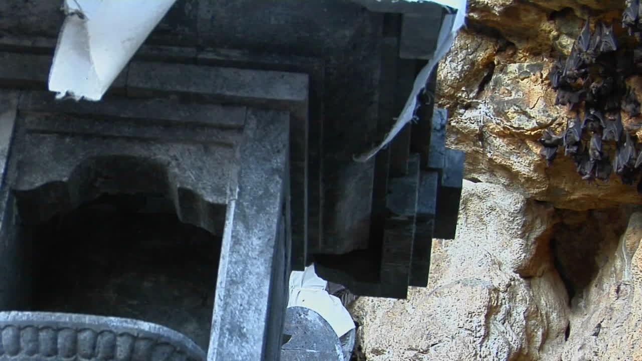 박쥐는 인도네시아 발리 사원 동굴 안팎으로 날아다닌다