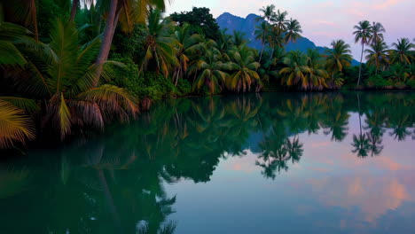 tropical river at sunset with palm trees