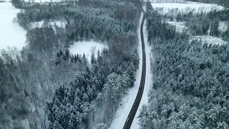 cars traveling in winter road between pine forest near pieszkowo village, poland