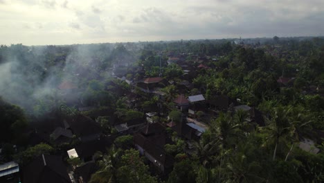 Tropische-Ubud-,-Bali-Landschaft---Dunkle-Und-Stimmungsvolle,-Kontrastierende-Luftaufnahmen