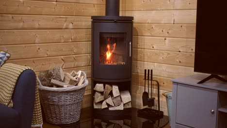 shot speeded up showing logs burning in a log fire wood burner